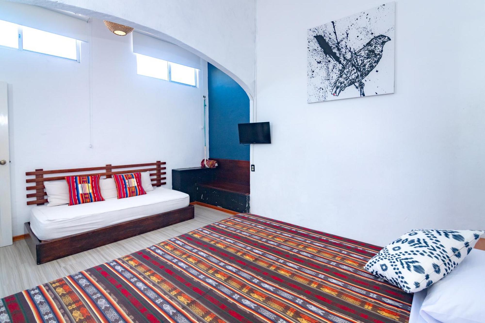 La K-Leta Boutique Guesthouse Puerto Ayora  Ngoại thất bức ảnh